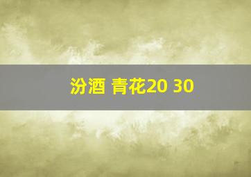 汾酒 青花20 30